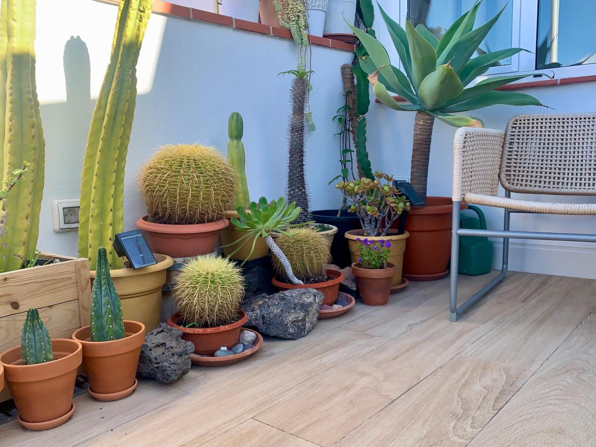 Atico Con Terraza, Vistas Panoramicas Y Parking Διαμέρισμα Σάντα Κρουζ Τενερίφης Εξωτερικό φωτογραφία