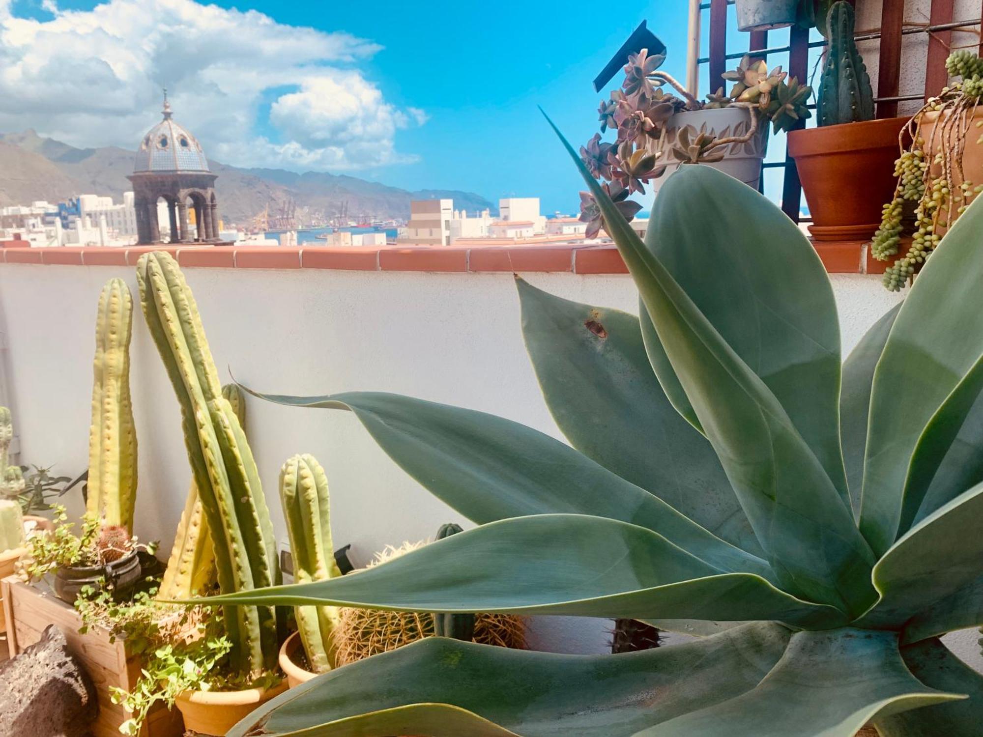 Atico Con Terraza, Vistas Panoramicas Y Parking Διαμέρισμα Σάντα Κρουζ Τενερίφης Εξωτερικό φωτογραφία